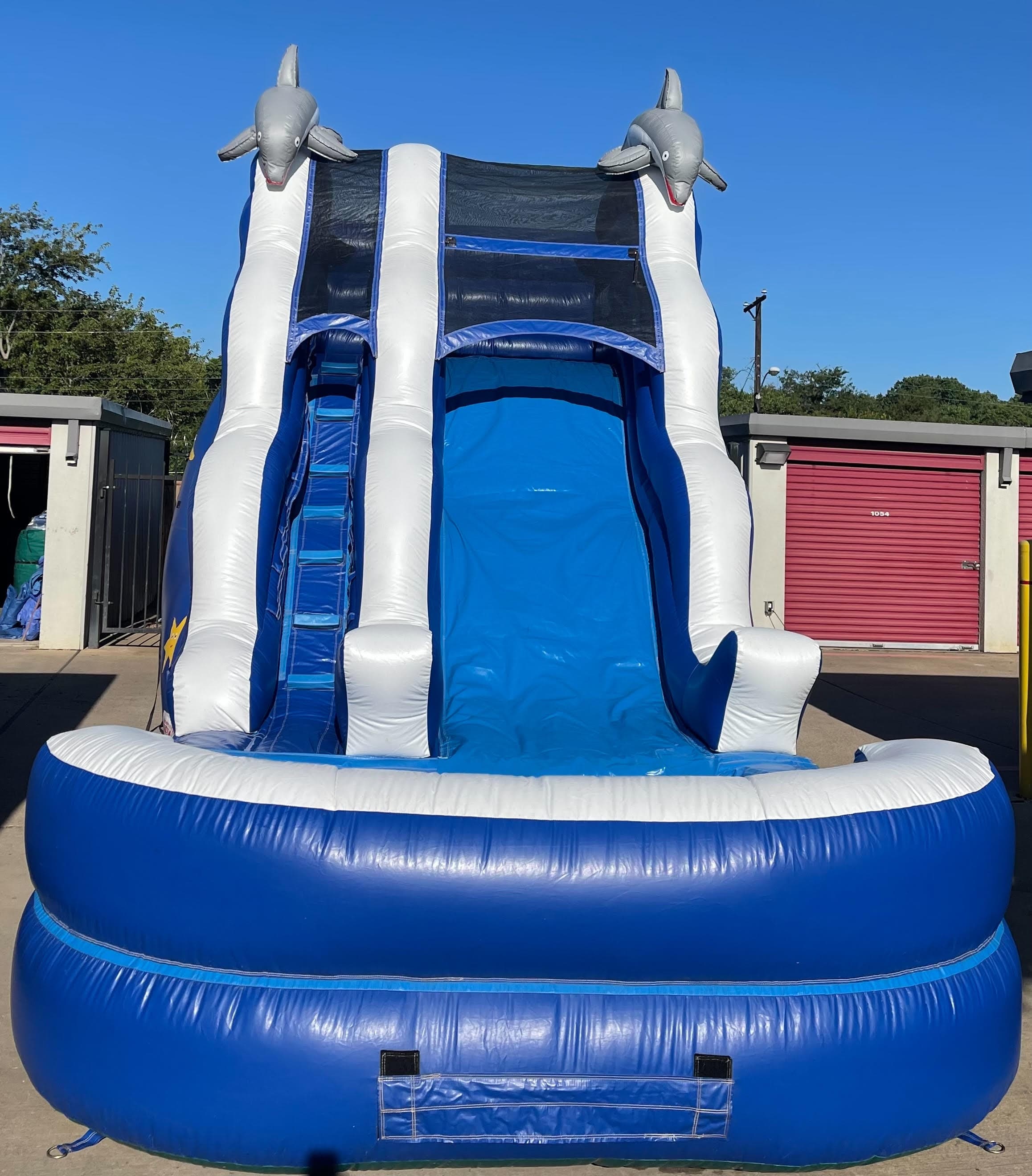 Dolphin Water Slide