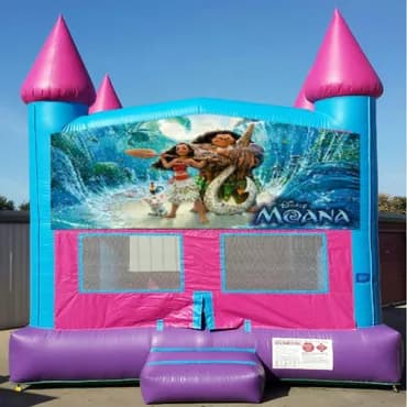 Pink & Blue Bounce House - Custom Artwork Theme