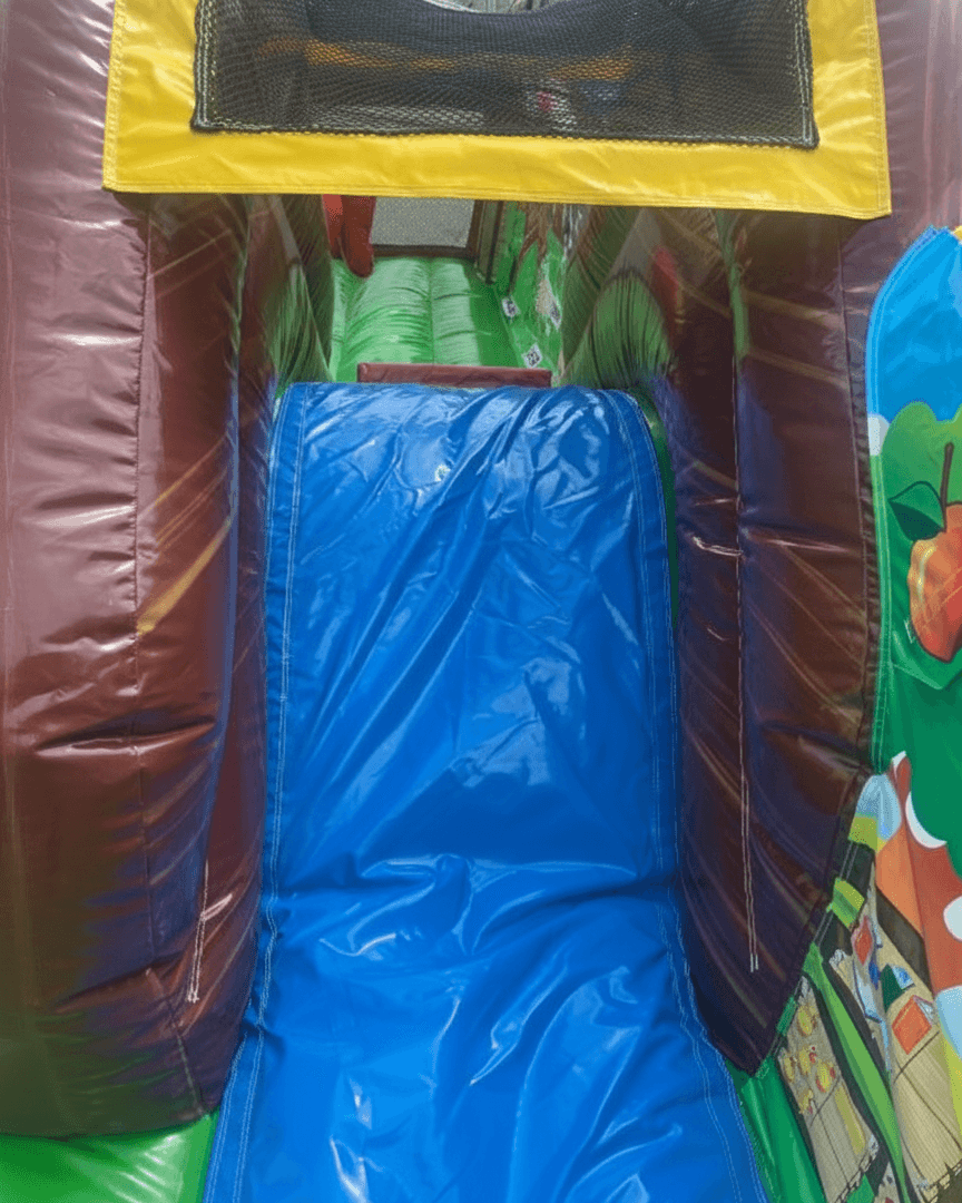 Little Farm Bounce & DRY Slide Combo