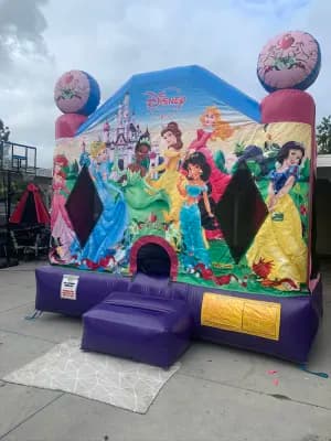 13x13 Princess Jumper