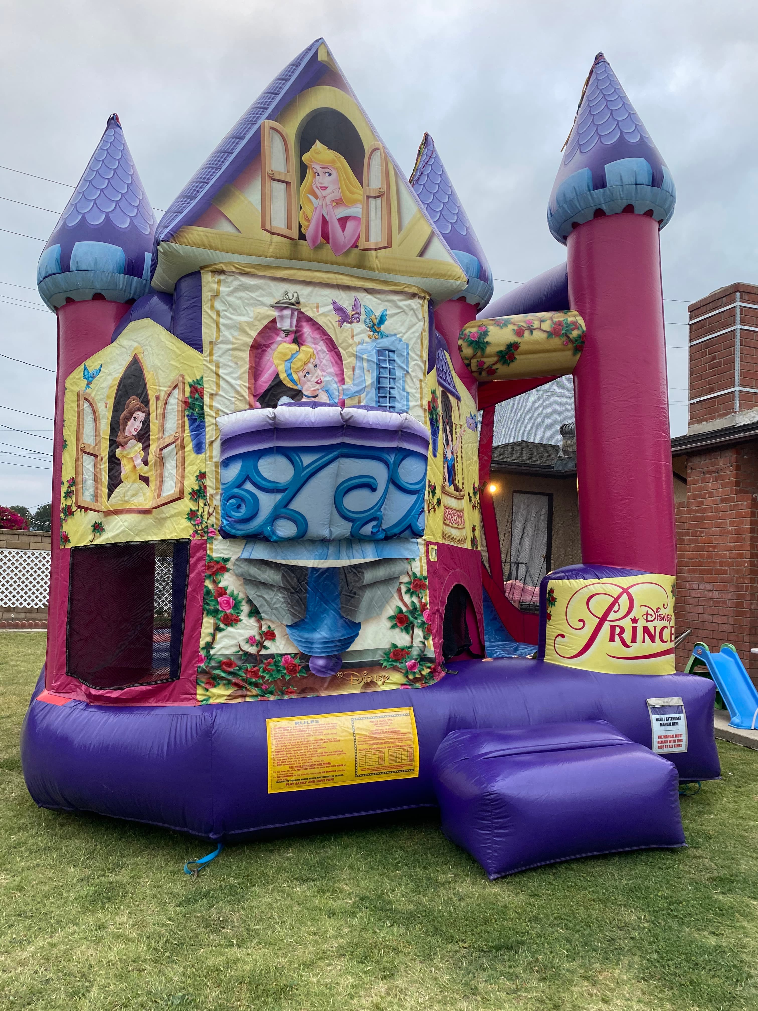 Disney Princess 3D Backyard Combo