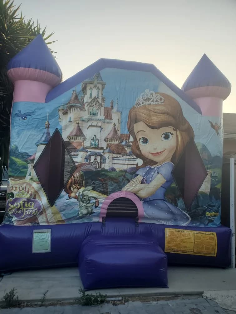 Sofia The First Jumper 13x13