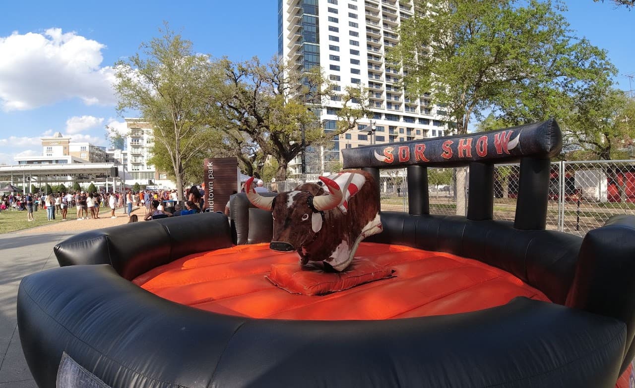 Red Brown Bull Mechanical Ride