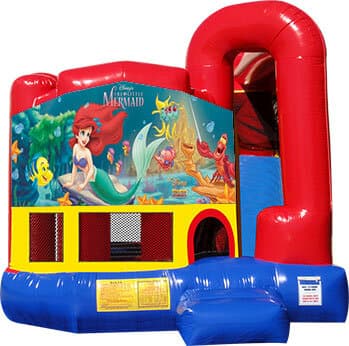 Little Mermaid Backyard Combo