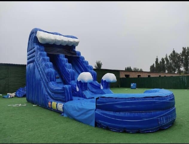 20' Dolphin (Wet or Dry)