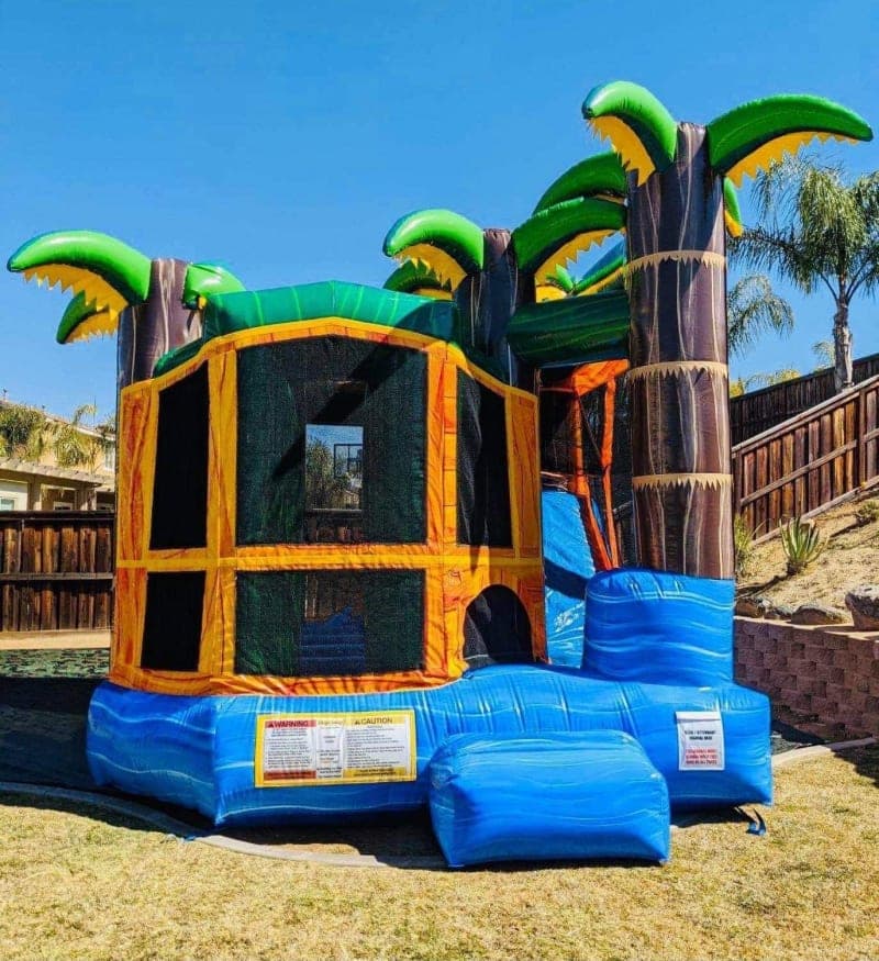 Yellow Breeze Palm Tree Backyard 17x17