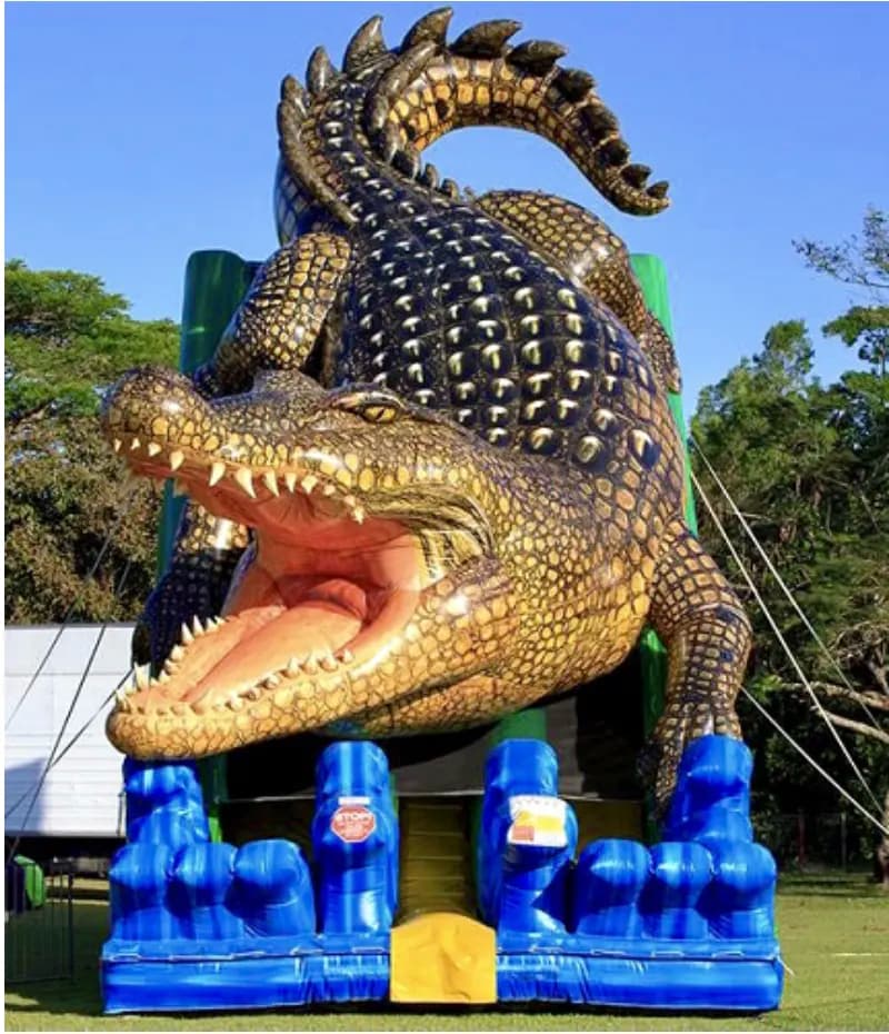 King Croc Dual Lane Slide