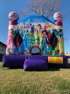 Disney Princess Jumper