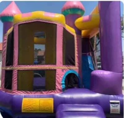 Pink & Purple Backyard Combo 17x17