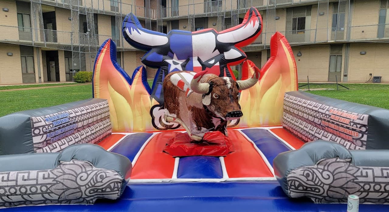 Fire Brown Bull Mechanical Ride