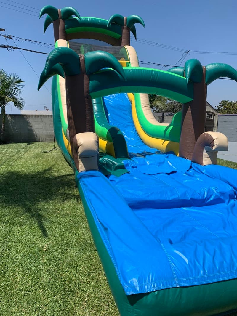 Extra Fun Palm Tree Waterslide 16x36