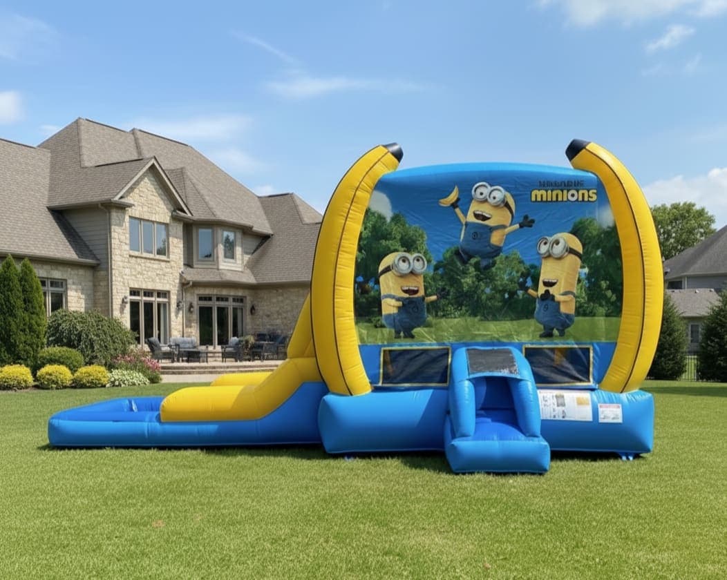 211 Despicable Me Combo Wet or Dry