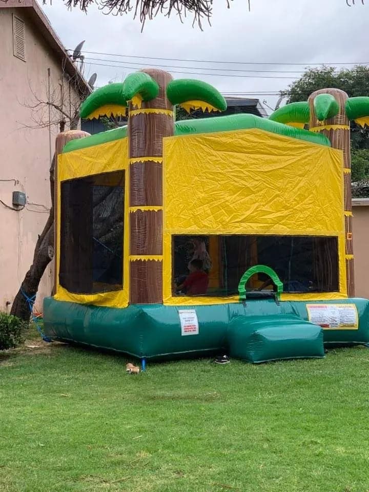 Palm Tree Jumper 13x13