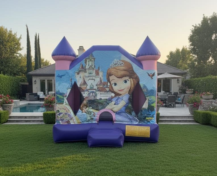 Sofia The First Jumper 13x13