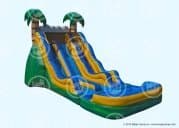 317 18 Tropical dual