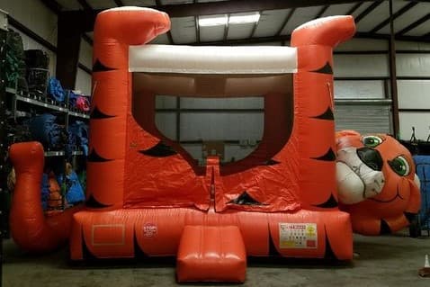 Tiger Belly Bounce (F-21)